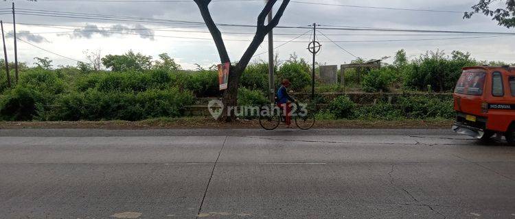 Kawasan Industri Strategis Letak Di Tepi Jalan Pati 1