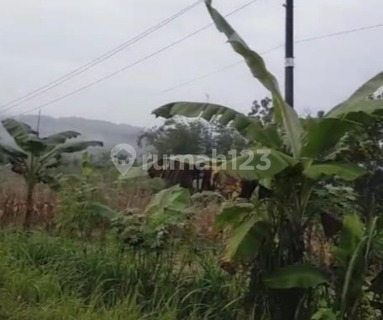Lahan Strategis Siap Pakai Cocok Untukperkebunan /peternakan Di Wonosamodra, Boyolali 1