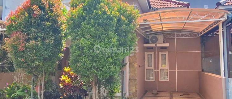 CEPAT RUMAH 1 LANTAI CANTIK & BAGUS MODERN SIAP HUNI HARGA TERJANGKAU 1