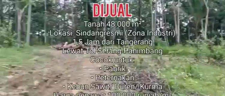 Tanah Murah Sindangresmi Pandeglang 4,8 Hectare 1