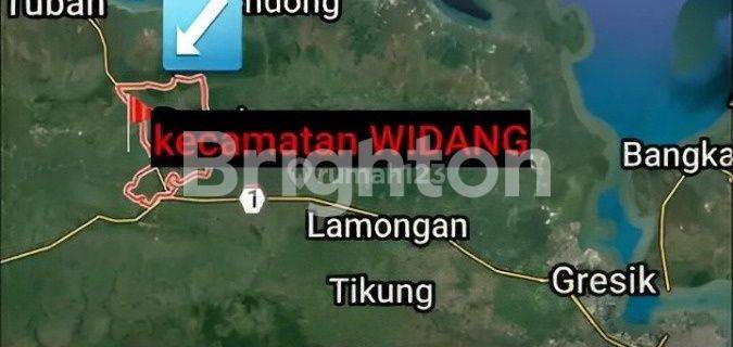 TANAH DEKAT JALAN RAYA TUBAN - BABAT, JAWA TIMUR 1