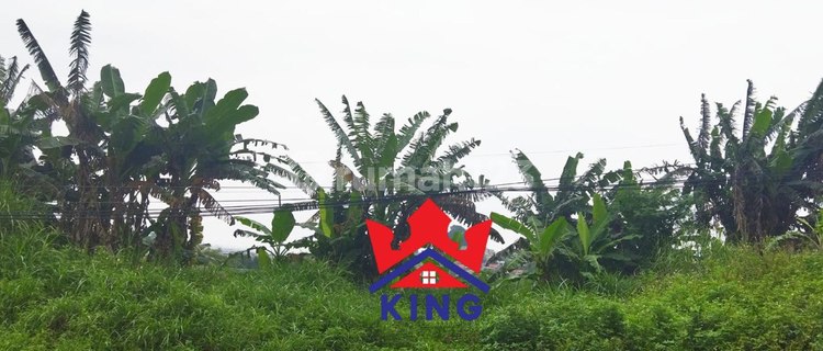 Tanah di Tumpang Raya, Semarang SHM 1.600 m² 1