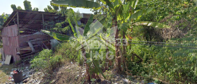 Tanah di Jl Pawiyatan, Semarang SHM 195 m² 1