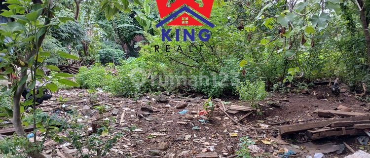 Tanah Dijual Cepat Di Karang Rejo, Gajahmungkur 1