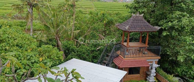 UBUD CONCEPT HOUSE RICE FIELD & RIVER VIEW NEAR LIVING WORLD
MALL 1