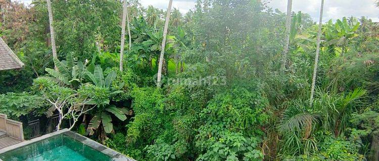 VILLA CANTIK FULLY FURNISHED VIEW JUNGLE & RIVERSIDE DI UBUD 1