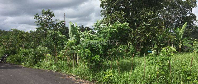 Dijual Tanah Cantik View Lembah Dekat Kanto Lampo Waterfall Beng Gianyar Bali Cocok Dibangun Villa Pribadi Area Sangat Quite Dan Asri  1