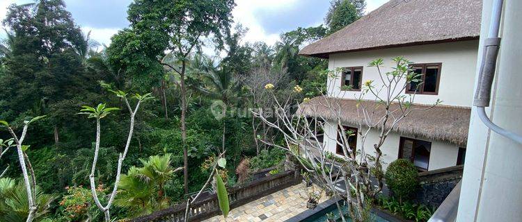 Nice Villa 4 Bedrooms and 56 Are Land in Kenderan Ubud Cheap Jungle View Suitable for Investment in Ubud 1