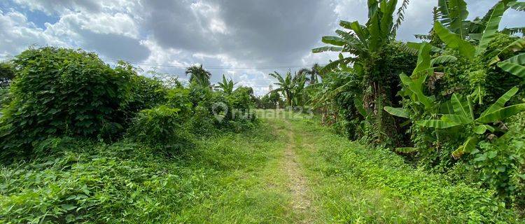 Tanah 2 Are di Sempidi Lukluk Dekat Puspem Badung Area Asri Nyaman Tanah Siap Bangun Murah 1
