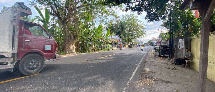 Tanah di Jalan Utama Temukus Singaraja Cocok di Bangun Ruko Gudang Area Sangat Komersial dekat Krisna Land 1