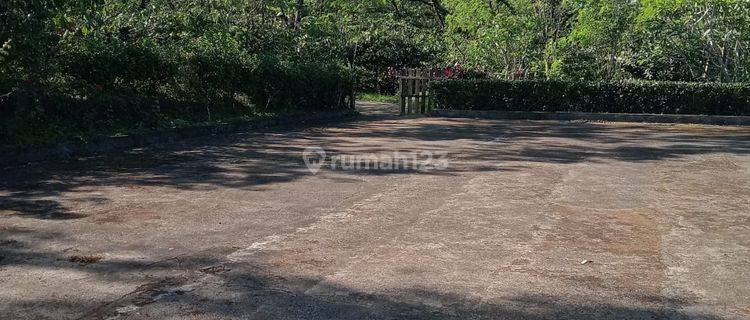 Cheap Garden Land in Puncaksari Pupuan Singaraja Suitable for Gardens and Plantations Accessible by Car 1