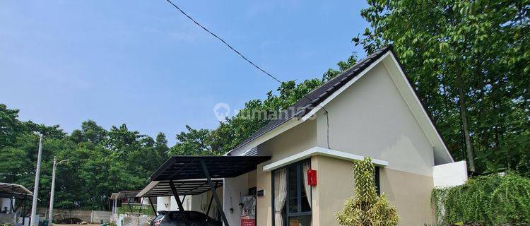 Rumah Cantik 3 Kamar Lingkungan Asri Cifest Dekat Lippo Cikarang 1