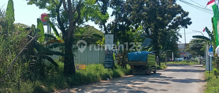 Land in Rowosari Raya, Meteseh, Tembalang, Semarang. 1