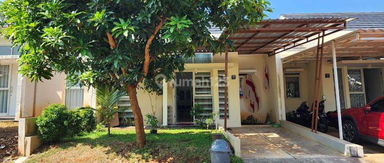 Rumah Full Perabotan, Siap Pakai di Forrest Hill, Ciputra Bsb, Mijen, Ngaliyan 1