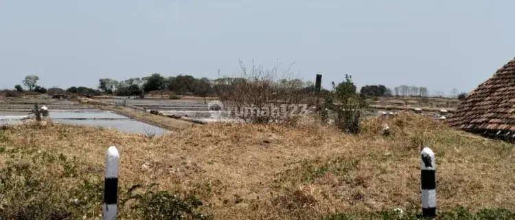 Tanah Tepi Laut di Jepara 1