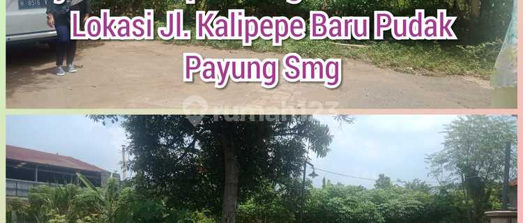 Residential land in Kalipepe, Pudak Payung, Banyumanik 1