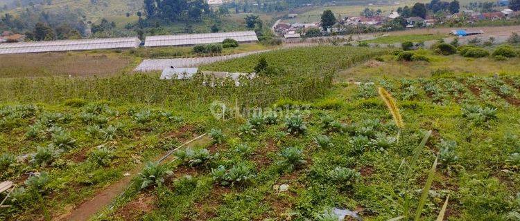 Tanah di Cipada Cikalong Wetan SHM 3,4HA  1