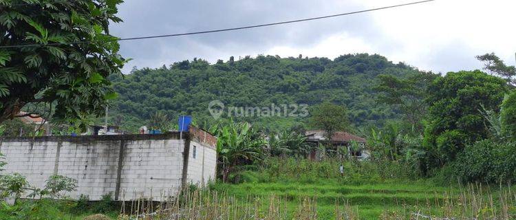 Tanah Bukit Di Nanjung Lagadar 11 Hectare Shm 1