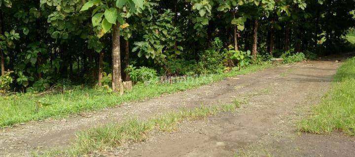 Dijual Tanah Murah Pisan, Cocok Untuk Invest, Komersial, Strategis Di Ujung Jaya, Sumedang Dkt Tol Cisumdawu 1