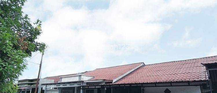 Dijual Rumah Rapi Terawat Siap Huni I Rumah Griya Hangtuah, Tenayan Raya 1