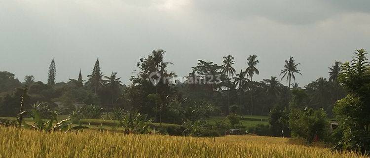 Dijual tanah dengan view sawah dekat dengan ubud aspek perumahan 1