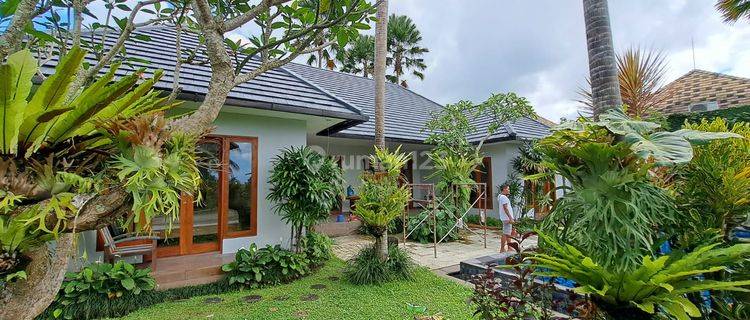 For sale villa minimalis 5 menit ke ubud central 1