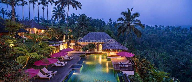 For sale villa with rural views north of Ubud 1