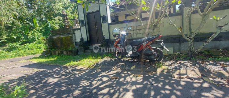Rumah 1 lantai halaman luas dekat kota tabanan dan SMA 1 Tabanan lingkungan perumahan akses papasan mobil 1