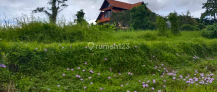 For sale frehold premium land in central ubud 1