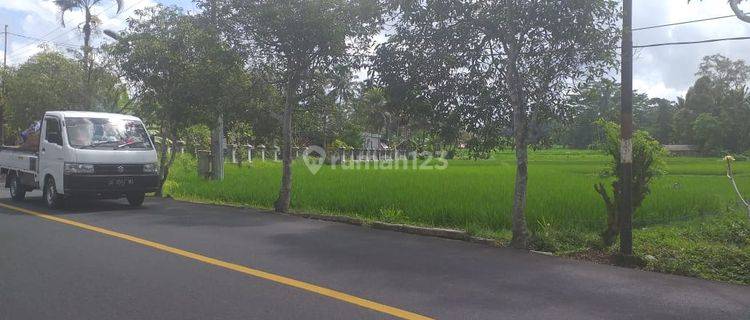 Dijual tanah pinggir jalan utama pejeng tampaksiring 1