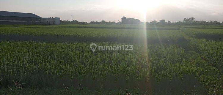 Disewakan tanah zona pariwisata dekat pantai cemagi 1