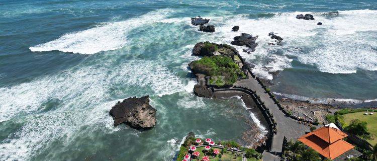 Disewakan tanah view sawah dan pantai cemagi canggu  1