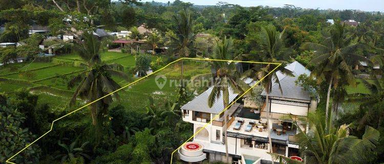 Premium land for sale on the main road of Tirta Tawar, Ubud 1