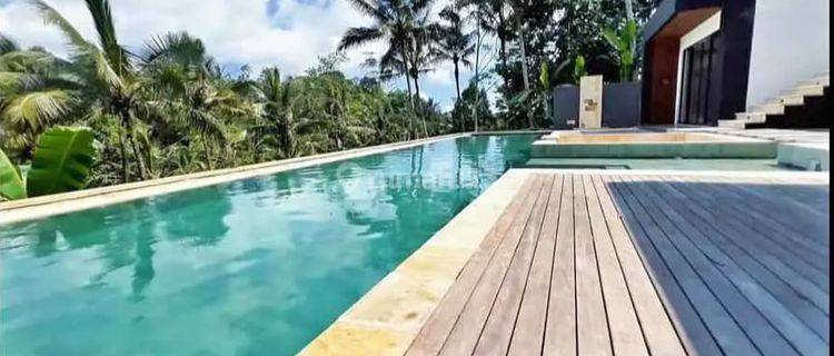 Dijual Modern Villa View Jungle Tampaksiring 1