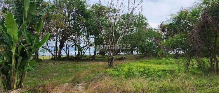 

Dijual Sebidang Tanah Los Pantai Cemagi  1