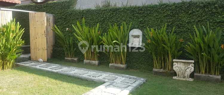 Studio Room At Umalas Kerobokan Bali 1