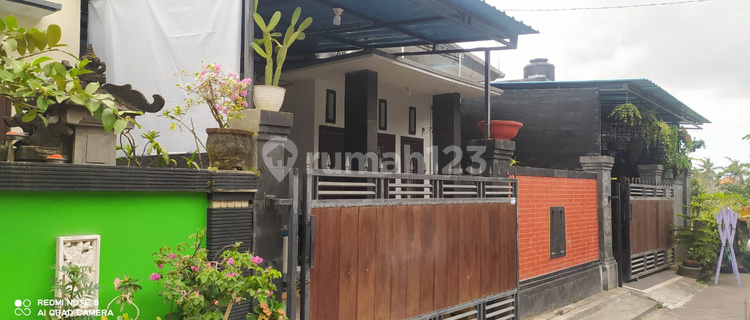 Rumah Murah Minimalis 1 Lantai View Sawah 1