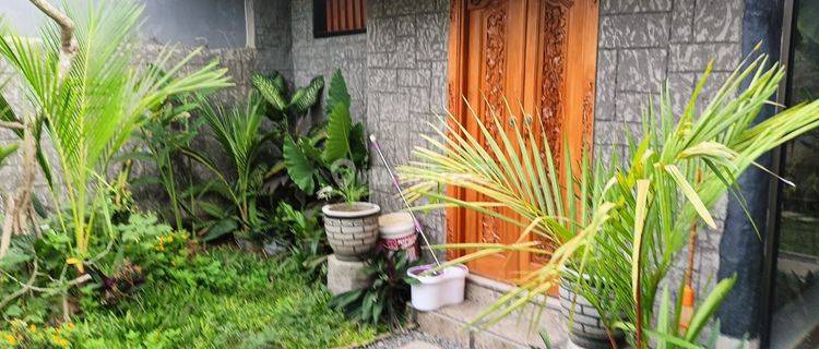 House At Sanur Denpasar Bali 1