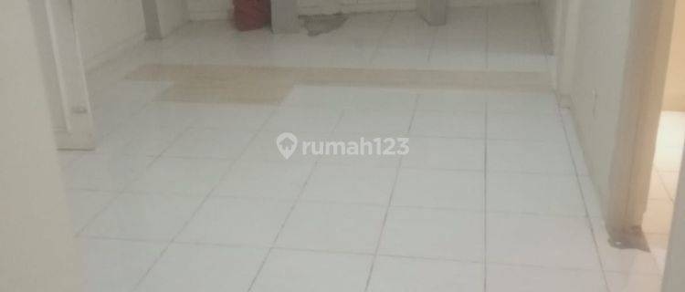 Rumah murah disewakan  1