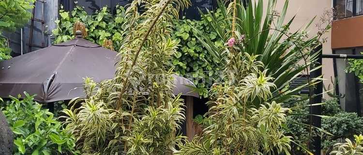 Grand Akasia Pamulang House 2 Floors 300m2 5BR Certificate of Ownership Swimming Pool Available 1