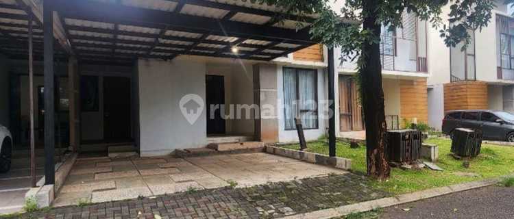 For Rent House In The Avani Bsd 1