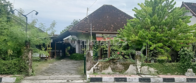 Rumah Dekat Alun Alun Kidul Yogyakarta. 1