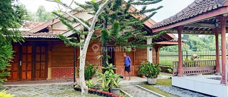 Rumah Jati Semi Furnished di Prambanan,Klaten 1