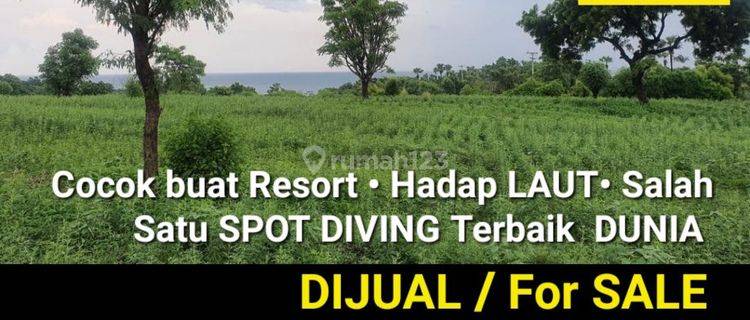 Dijual 2,2 Ha Tanah BALI di desa Tulamben - kec.Kubu - Kab.Karang Asem - SHM - View Laut - cocok Buat Resort 1