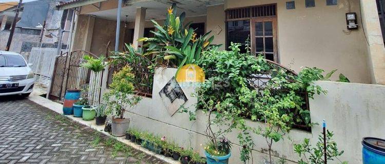 Dijual rumah murah di tanahmas semarang utara 1