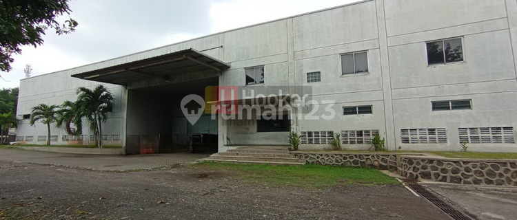 Sewa Gudang Siap Pakai  Daerah Tugu Semarang 8961 1