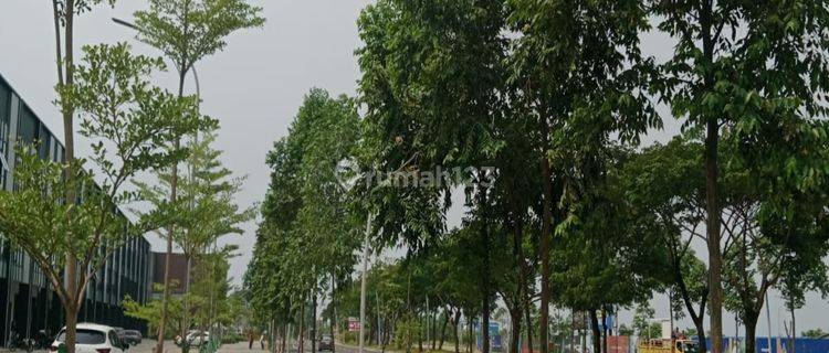 Soho Orchard Boulevard Blok A Hadap Boulevard 1