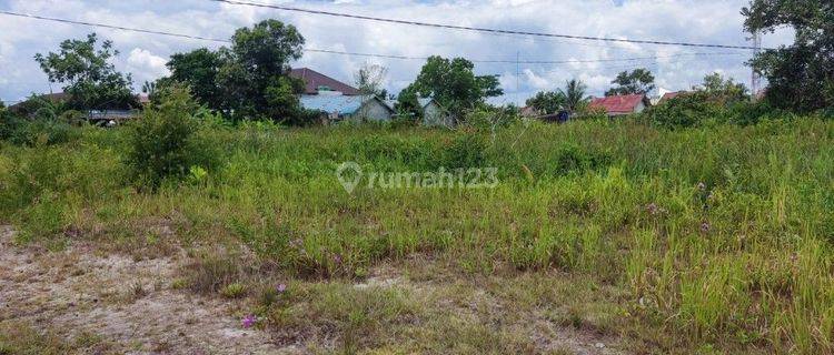 Tanah Dijual di Jalan RTA Milono Palangka Raya  1