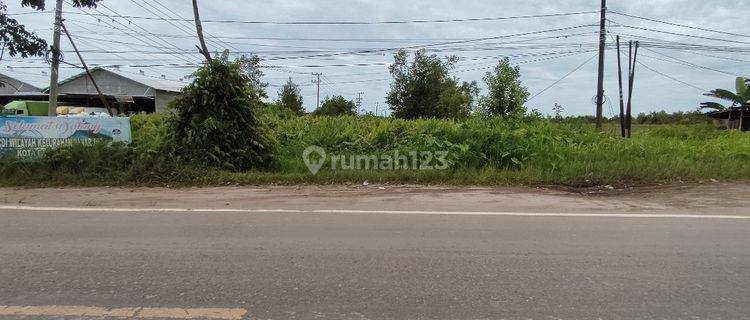 Tanah Dijual Di Jalan Mahir Mahar Trans Kalimantan Palangka Raya Kalimantan Tengah 1