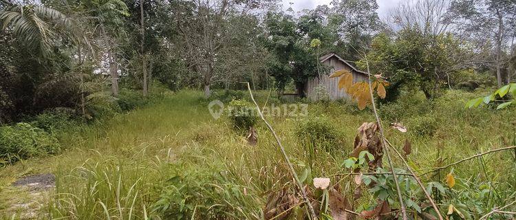 Tanah Dijual di Jalan Mahir Mahar Palangka Raya Kalimantan Tengah 1